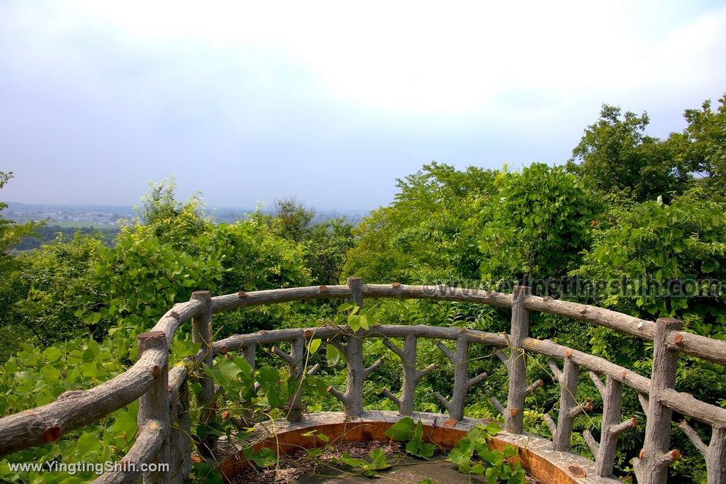 YTS_YTS_20190726_日本東北岩手北上市芝生広場Japan Tohoku Iwate Kamenoko Observation Deck018_539A5525.jpg