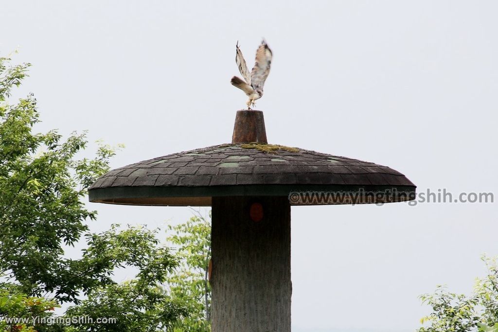 YTS_YTS_20190726_日本東北岩手北上市芝生広場Japan Tohoku Iwate Kamenoko Observation Deck016_539A5499_cr.jpg