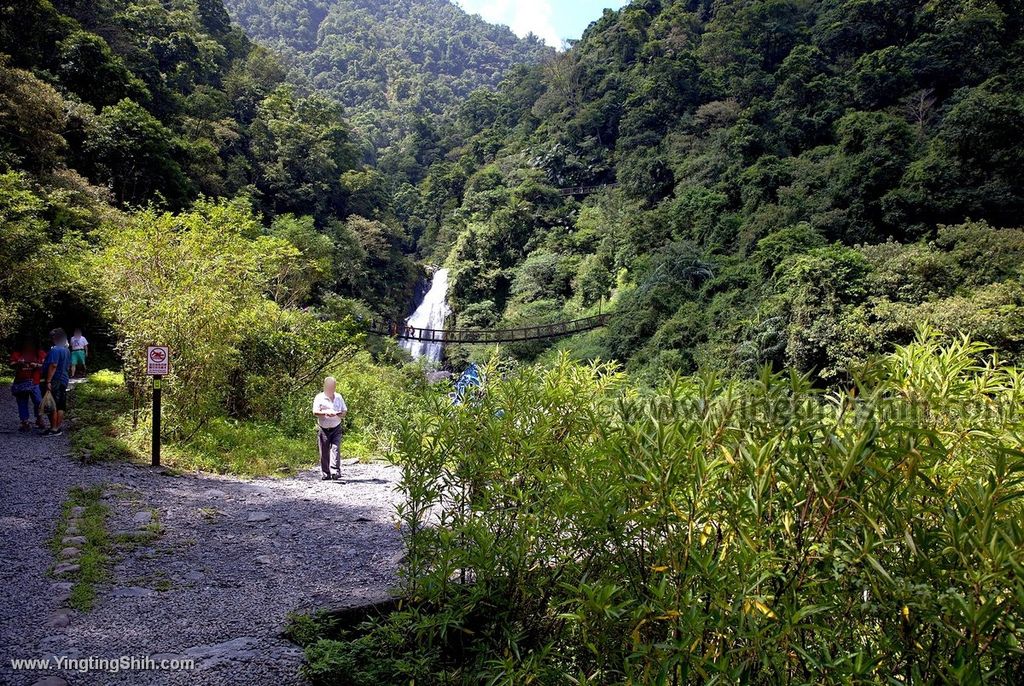 YTS_YTS_20190831_宜蘭冬山新寮瀑布／步道／冬山森林生態館／造林區Yilan Dongshan Sinliao Waterfall Trail040_539A0327.jpg