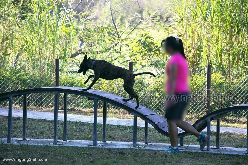 YTS_YTS_20191124_苗栗頭份東興河濱公園／寵物公園Miaoli Toufen Dongxing Riverside Park035_539A8715.jpg