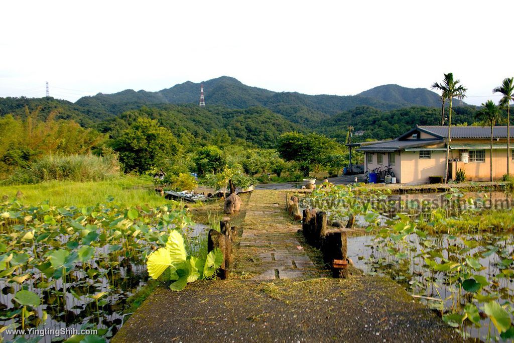 YTS_YTS_20190518_新北雙溪蓮花園／雙溪風車入口意象New Taipei Shuangxi Lotus Garden006_539A1876.jpg