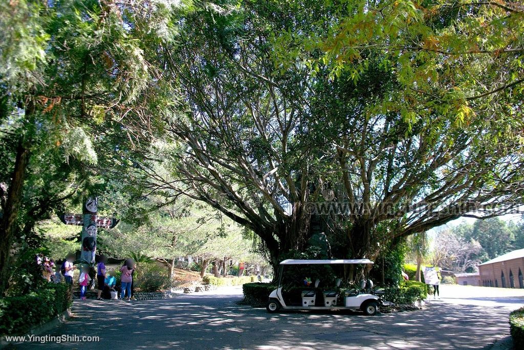 YTS_YTS_20191116_南投國姓泰雅渡假村／歐式花園／露天溫泉Nantou Guoxing Atayal Resort043_539A4408.jpg