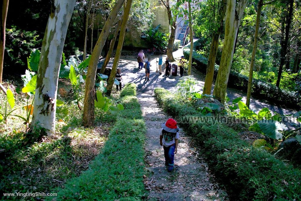 YTS_YTS_20191116_南投國姓泰雅渡假村／歐式花園／露天溫泉Nantou Guoxing Atayal Resort079_539A4501.jpg