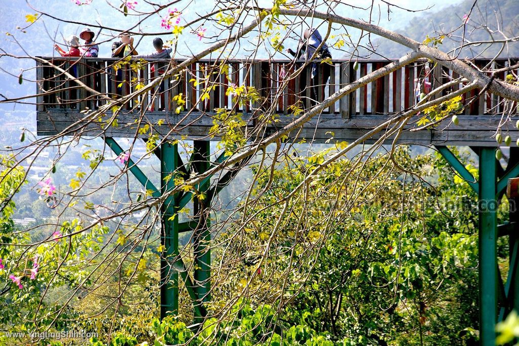 YTS_YTS_20191116_南投國姓泰雅渡假村／歐式花園／露天溫泉Nantou Guoxing Atayal Resort153_539A4780.jpg