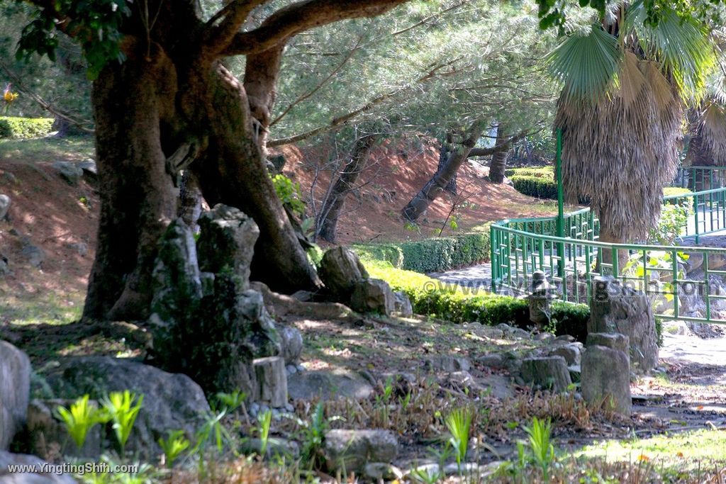 YTS_YTS_20191116_南投國姓泰雅渡假村／歐式花園／露天溫泉Nantou Guoxing Atayal Resort215_539A4852.jpg