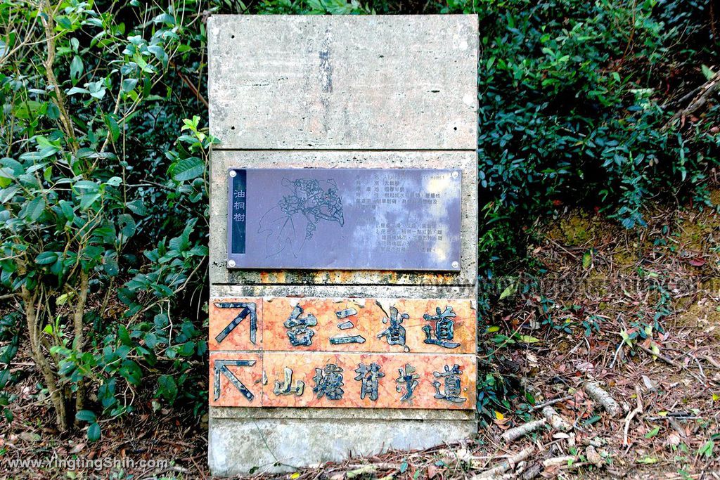 YTS_YTS_20191207_苗栗三灣山塘背登山步道Miaoli Sanwan Shantangbei Trail017_539A1625.jpg