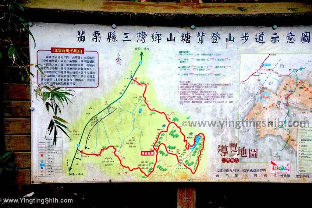 YTS_YTS_20191207_苗栗三灣山塘背登山步道Miaoli Sanwan Shantangbei Trail020_539A1643.jpg