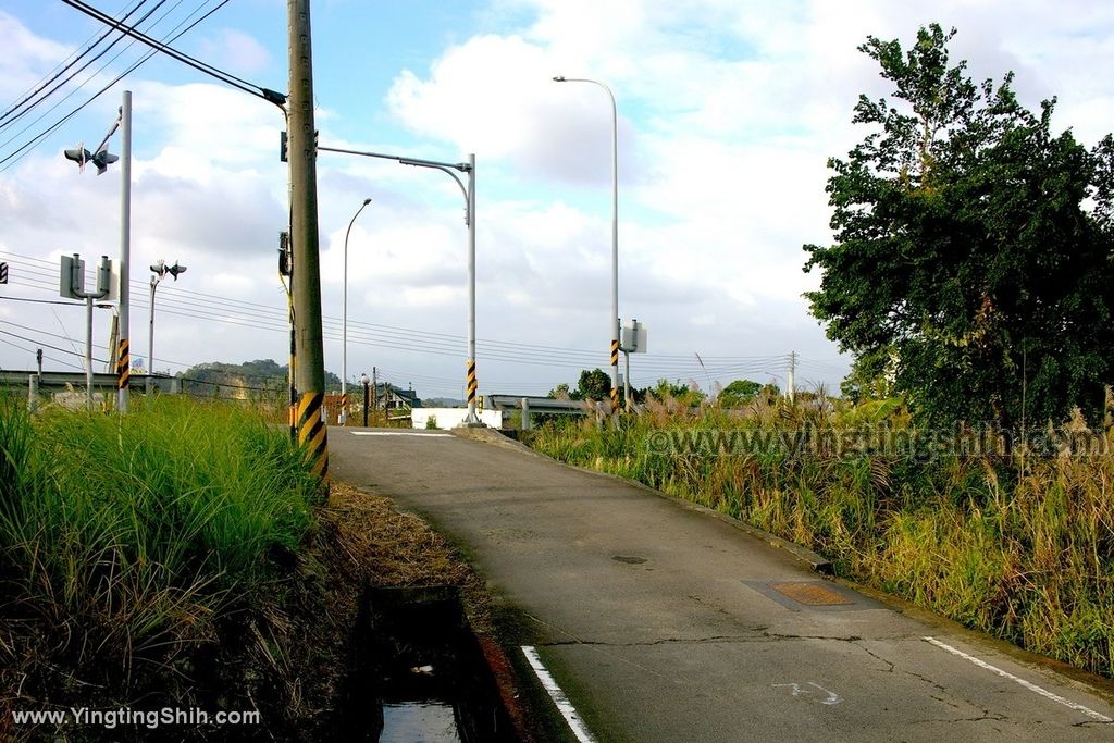 YTS_YTS_20191207_苗栗三灣山塘背登山步道Miaoli Sanwan Shantangbei Trail043_539A1699.jpg