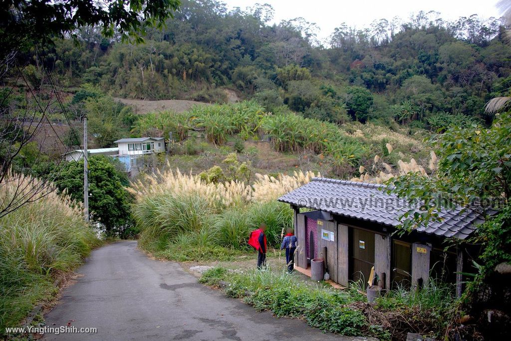 YTS_YTS_20191221_新竹北埔大湖六塘落羽松／如意塘／杮景塘／乾坤塘Hsinchu Beipu Liutang Bald Cypress047_539A7689.jpg