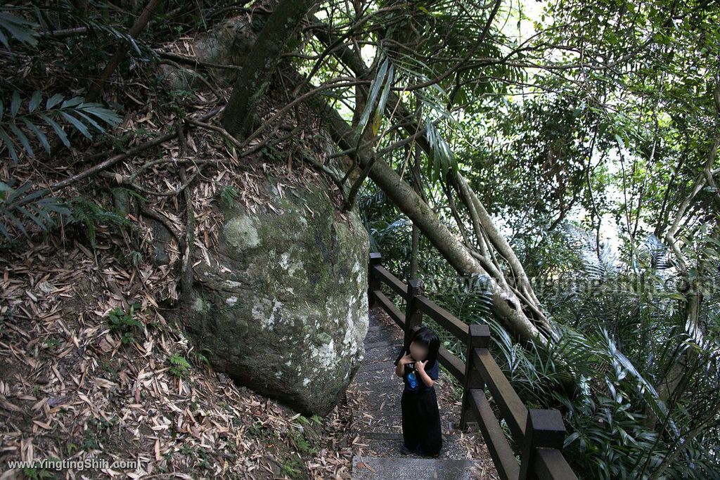 YTS_YTS_20191215_苗栗南庄神仙谷瀑布／石門古道／七分醉Miaoli Nanzhuang Valley of the Gods Waterfall020_539A5632.jpg