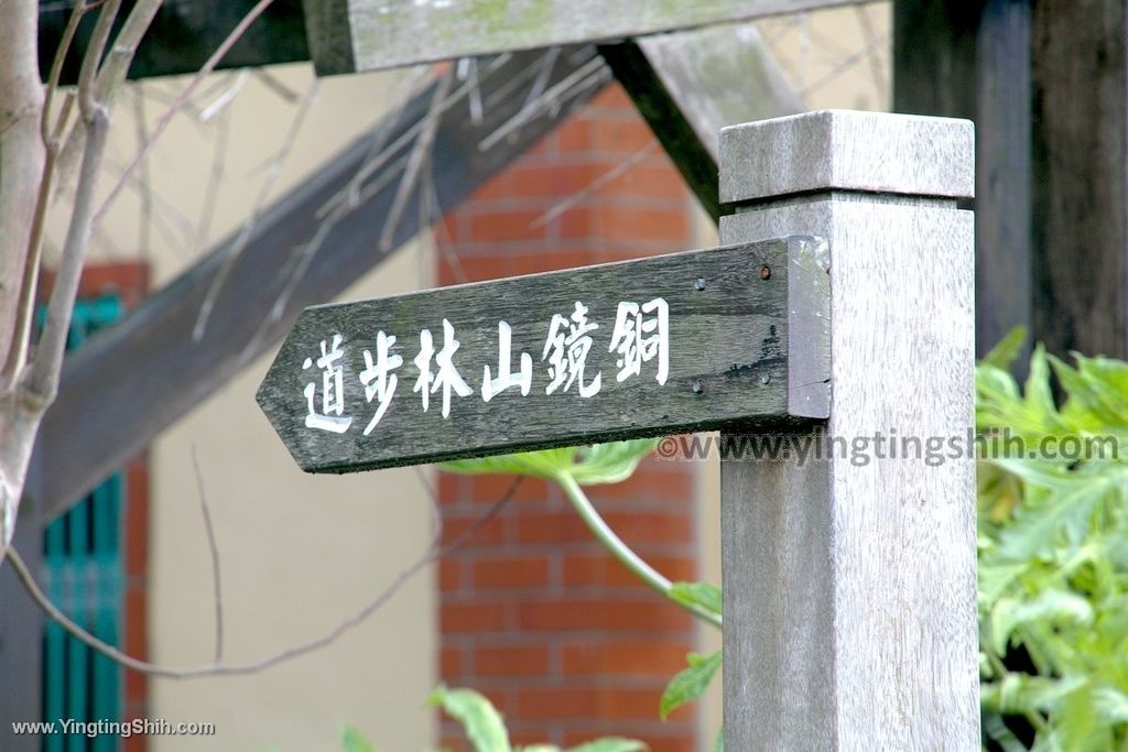 YTS_YTS_20191207_苗栗三灣銅鏡山林步道／環山步道／溫家伙房Miaoli Sanwan Tongjing Forest Trail020_539A1540.jpg