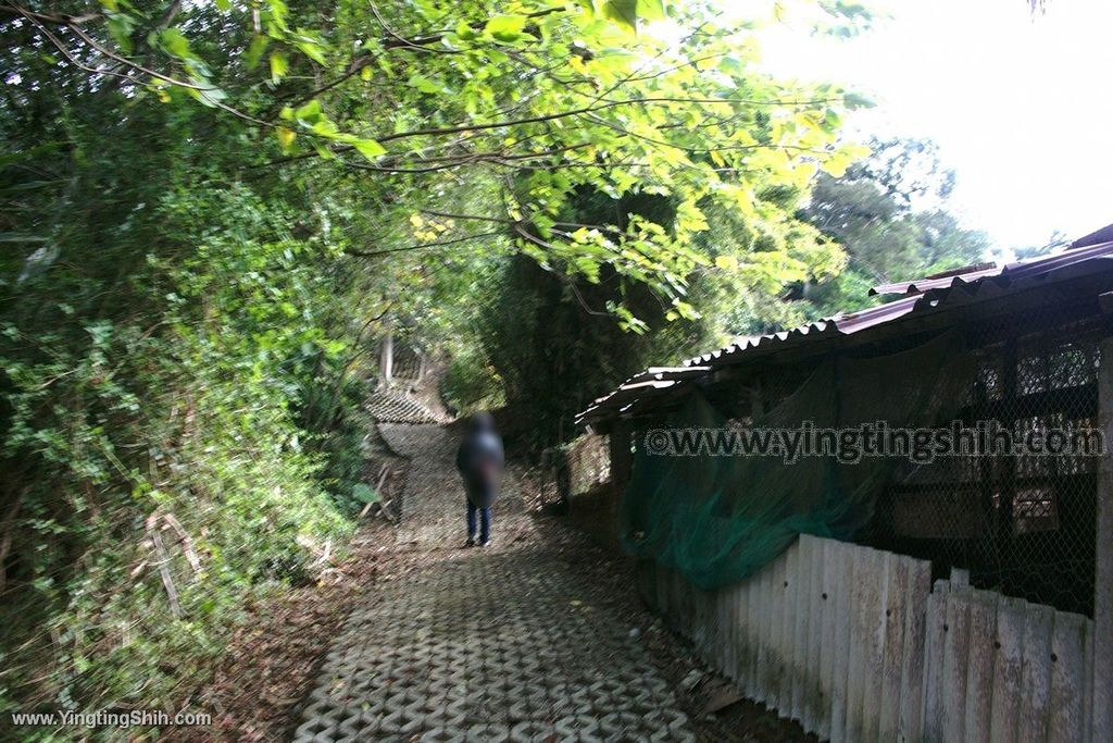 YTS_YTS_20191207_苗栗三灣銅鏡山林步道／環山步道／溫家伙房Miaoli Sanwan Tongjing Forest Trail029_539A1552.jpg