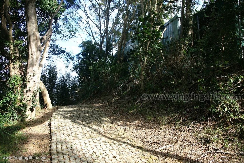 YTS_YTS_20191207_苗栗三灣銅鏡山林步道／環山步道／溫家伙房Miaoli Sanwan Tongjing Forest Trail034_539A1561.jpg