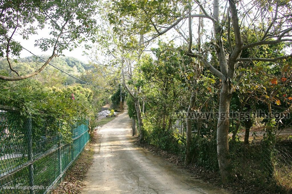 YTS_YTS_20191207_苗栗三灣銅鏡山林步道／環山步道／溫家伙房Miaoli Sanwan Tongjing Forest Trail041_539A1570.jpg