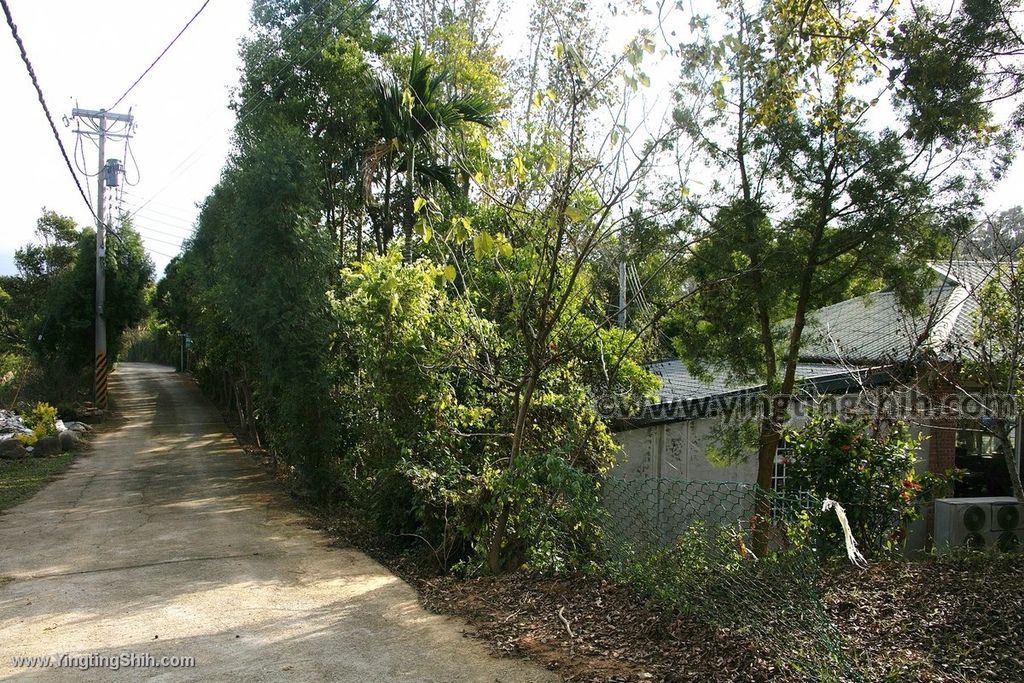 YTS_YTS_20191207_苗栗三灣銅鏡山林步道／環山步道／溫家伙房Miaoli Sanwan Tongjing Forest Trail042_539A1571.jpg