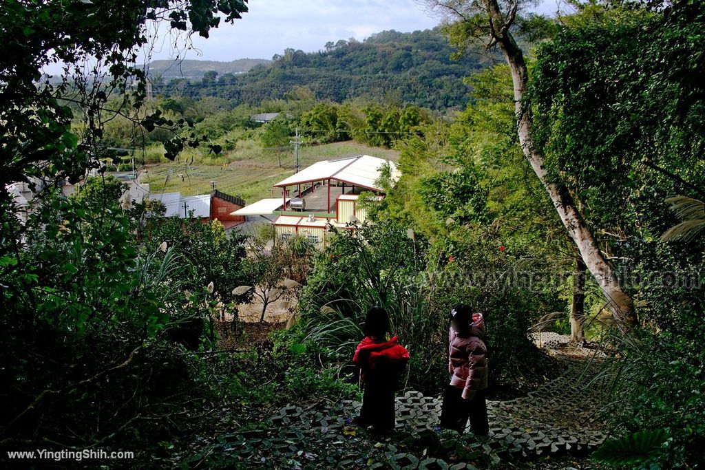 YTS_YTS_20191207_苗栗三灣銅鏡山林步道／環山步道／溫家伙房Miaoli Sanwan Tongjing Forest Trail047_539A1579.jpg