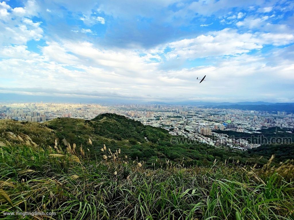 YTS_YTS_20191228_桃園龜山拍芒花／芒草／三角埔／山頂小棚Taoyuan Guishan Silvergrass Flower Sea014_IMG_8789.jpg