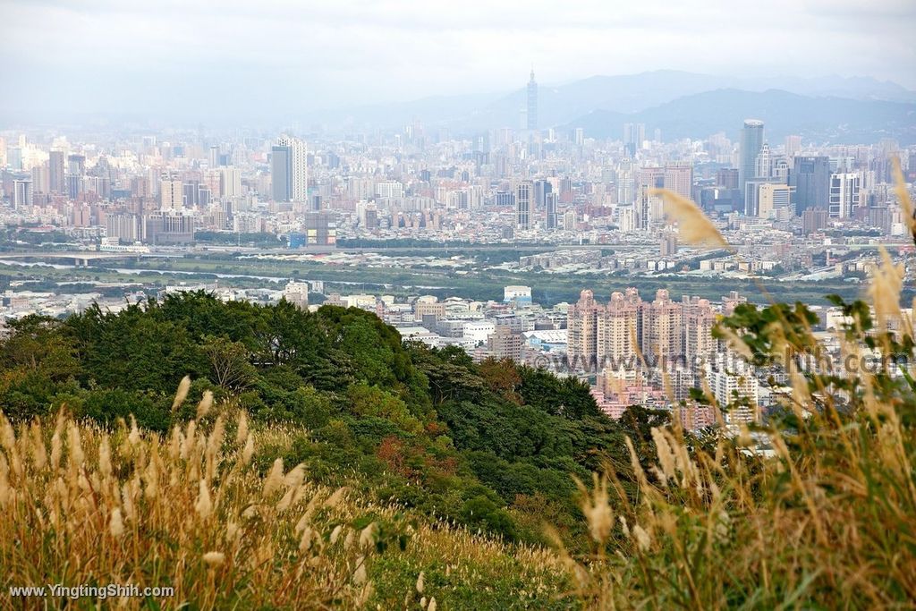 YTS_YTS_20191228_桃園龜山拍芒花／芒草／三角埔／山頂小棚Taoyuan Guishan Silvergrass Flower Sea017_539A9738.jpg