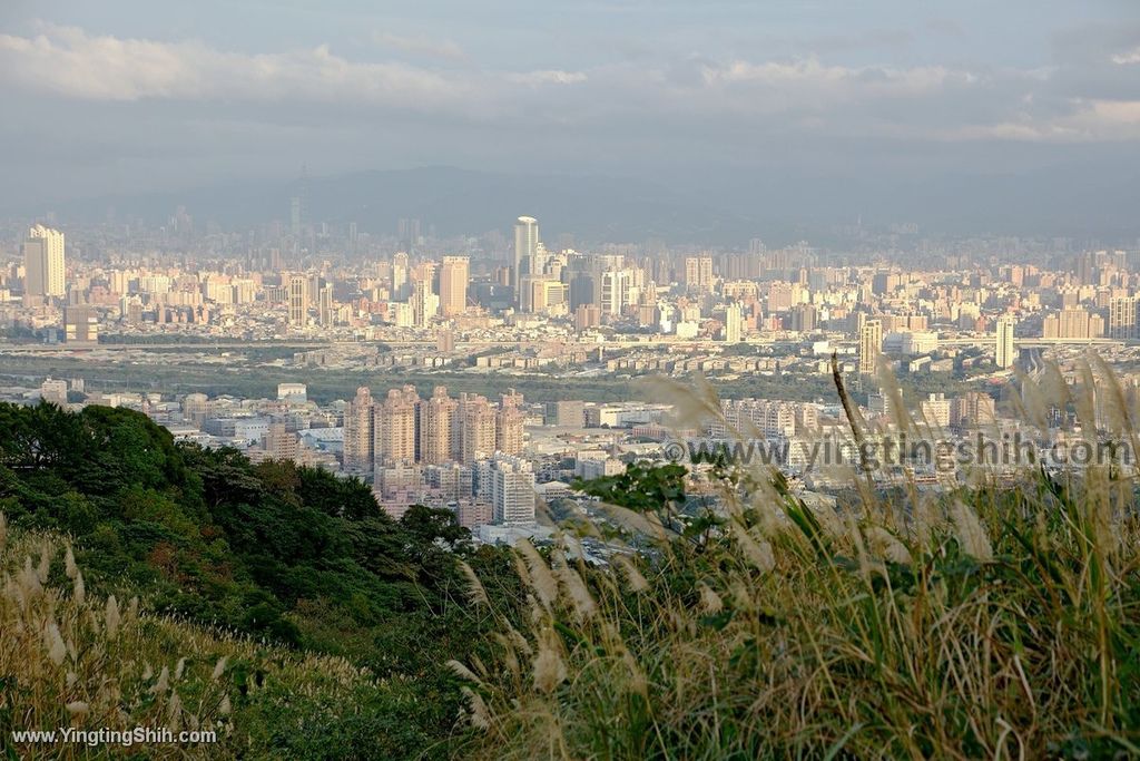 YTS_YTS_20191228_桃園龜山拍芒花／芒草／三角埔／山頂小棚Taoyuan Guishan Silvergrass Flower Sea047_539A0226.jpg