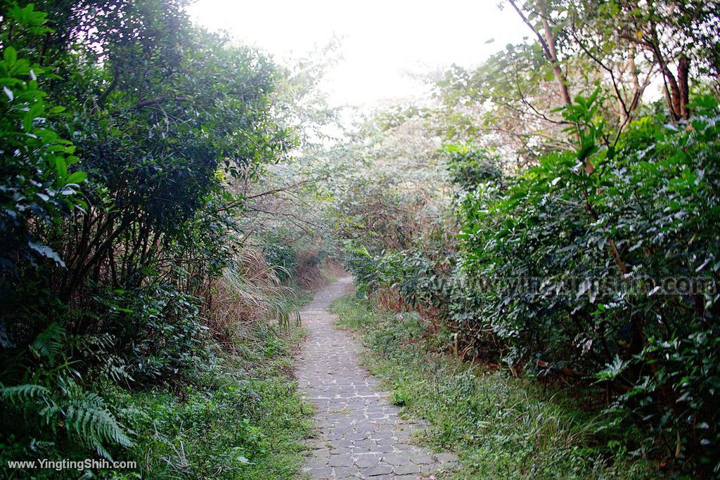 YTS_YTS_20200105_新竹湖口漢卿步道／戰車公園／牛車驛站Hsinchu Hukou Hangqing Trail014_539A3451.jpg