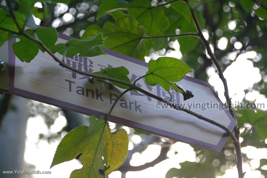 YTS_YTS_20200105_新竹湖口漢卿步道／戰車公園／牛車驛站Hsinchu Hukou Hangqing Trail029_539A3473.jpg