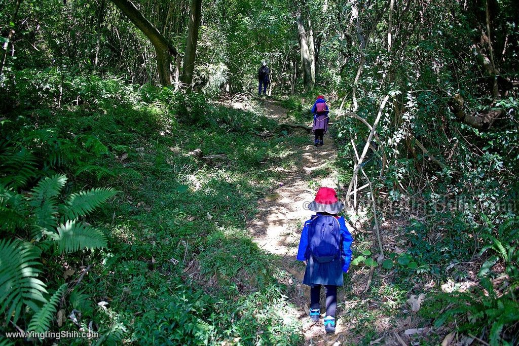 YTS_YTS_20191228_新北樹林大同山登山步道／狗蹄山遺址／青龍嶺青德宮New Taipei Shulin024_539A9004.jpg