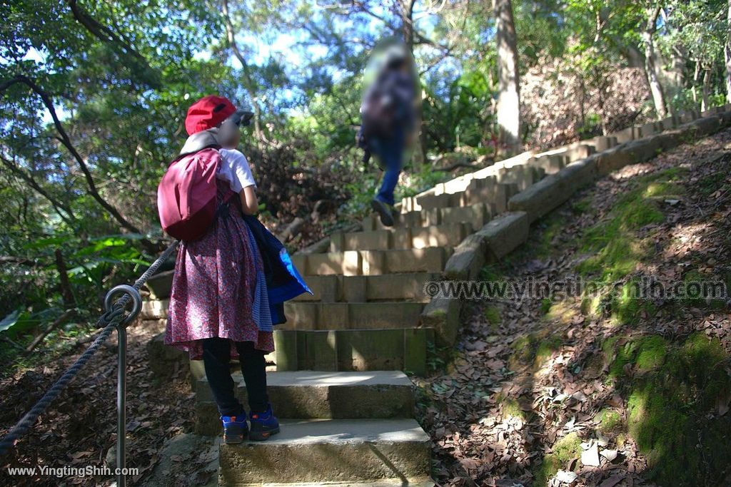 YTS_YTS_20191228_新北樹林大同山登山步道／狗蹄山遺址／青龍嶺青德宮New Taipei Shulin056_539A9133.jpg