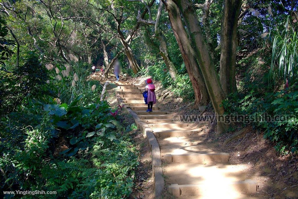 YTS_YTS_20191228_新北樹林大同山登山步道／狗蹄山遺址／青龍嶺青德宮New Taipei Shulin057_539A9135.jpg