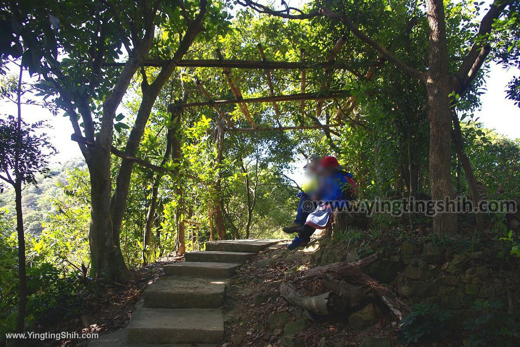 YTS_YTS_20191228_新北樹林大同山登山步道／狗蹄山遺址／青龍嶺青德宮New Taipei Shulin066_539A9156.jpg