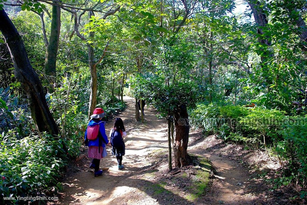 YTS_YTS_20191228_新北樹林大同山登山步道／狗蹄山遺址／青龍嶺青德宮New Taipei Shulin071_539A9176.jpg