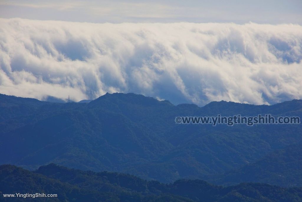 YTS_YTS_20191228_新北樹林大同山登山步道／狗蹄山遺址／青龍嶺青德宮New Taipei Shulin103_539A9269.jpg