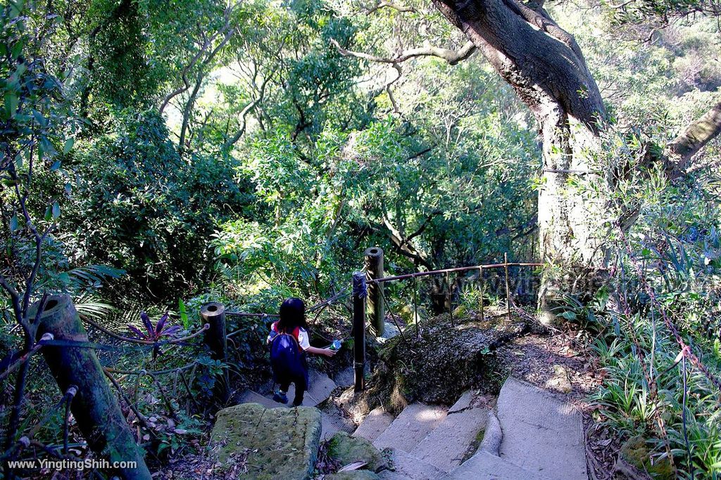 YTS_YTS_20191228_新北樹林大同山登山步道／狗蹄山遺址／青龍嶺青德宮New Taipei Shulin107_539A9289.jpg