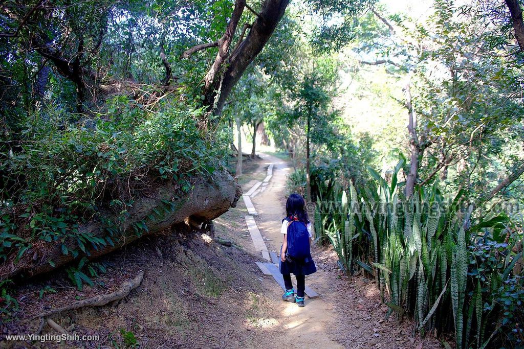 YTS_YTS_20191228_新北樹林大同山登山步道／狗蹄山遺址／青龍嶺青德宮New Taipei Shulin120_539A9305.jpg