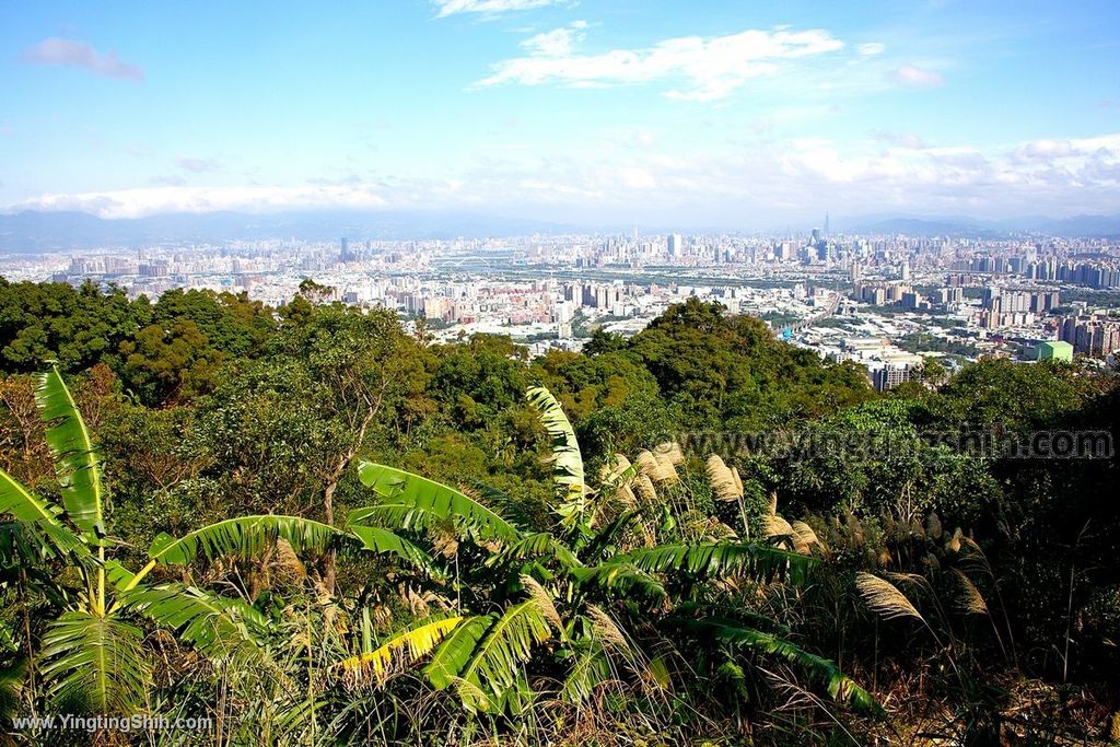 YTS_YTS_20191228_新北樹林大同山登山步道／狗蹄山遺址／青龍嶺青德宮New Taipei Shulin131_539A9334.jpg