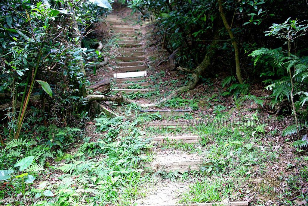 YTS_YTS_20200111_新北土城南天母山／崙子山甘露寺步道／甘露公園New Taipei Tucheng016_539A3777.jpg