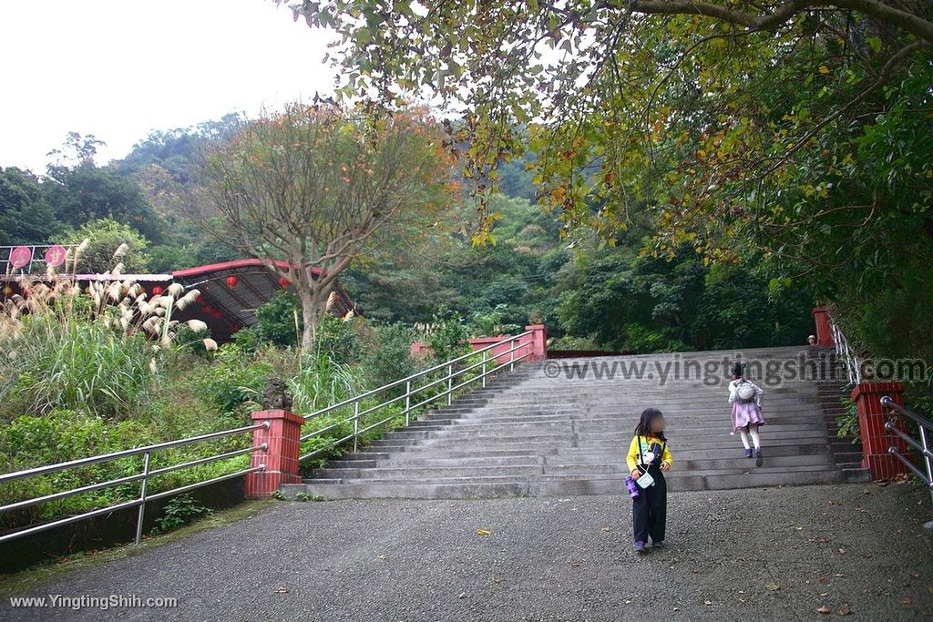 YTS_YTS_20200111_新北土城南天母山／崙子山甘露寺步道／甘露公園New Taipei Tucheng020_539A3784.jpg