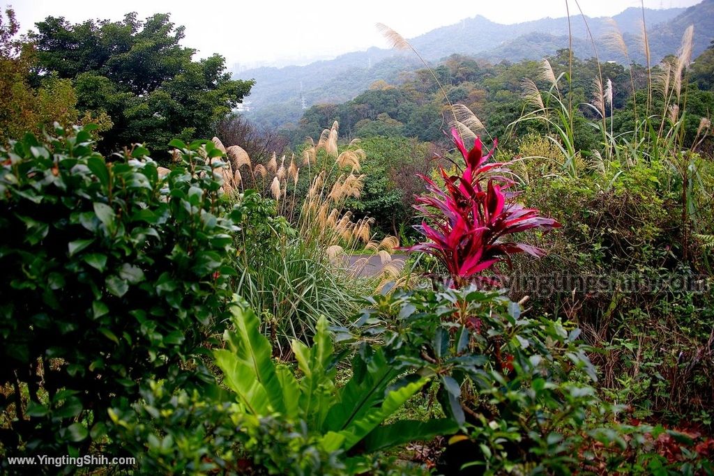 YTS_YTS_20200111_新北土城南天母山／崙子山甘露寺步道／甘露公園New Taipei Tucheng045_539A4026.jpg