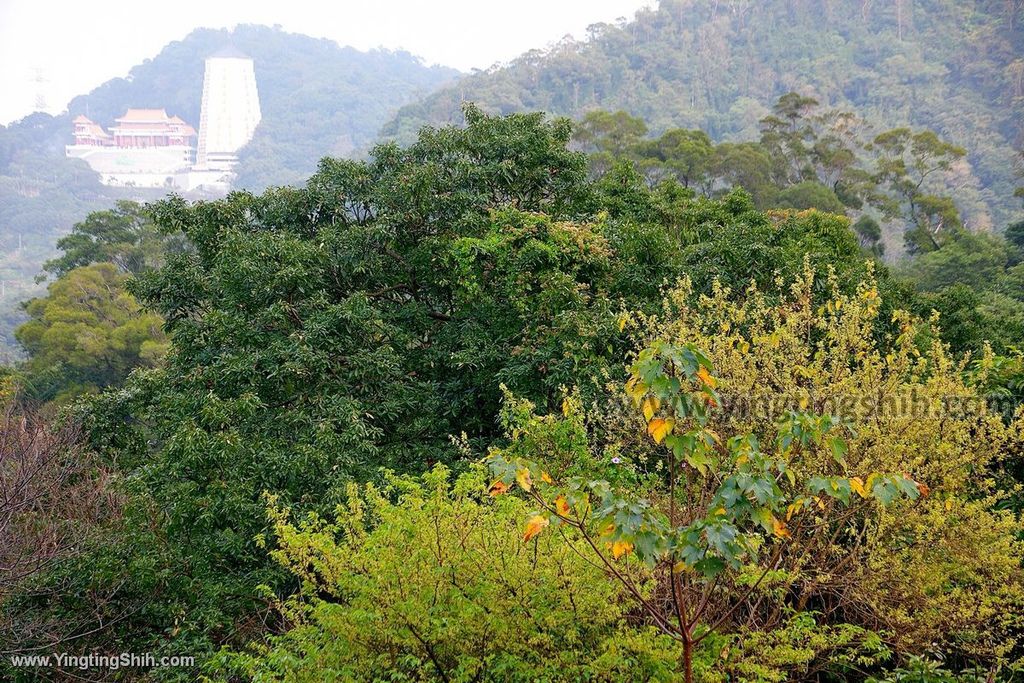 YTS_YTS_20200111_新北土城南天母山／崙子山甘露寺步道／甘露公園New Taipei Tucheng044_539A4035.jpg