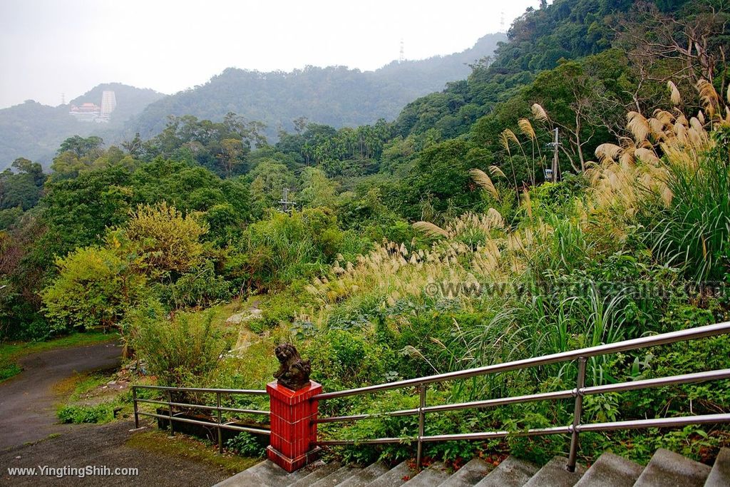 YTS_YTS_20200111_新北土城南天母山／崙子山甘露寺步道／甘露公園New Taipei Tucheng046_539A3786.jpg