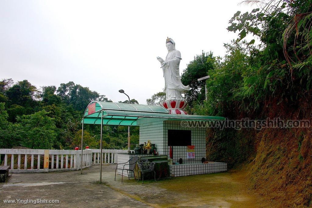 YTS_YTS_20200111_新北土城南天母山／崙子山甘露寺步道／甘露公園New Taipei Tucheng059_539A3882.jpg