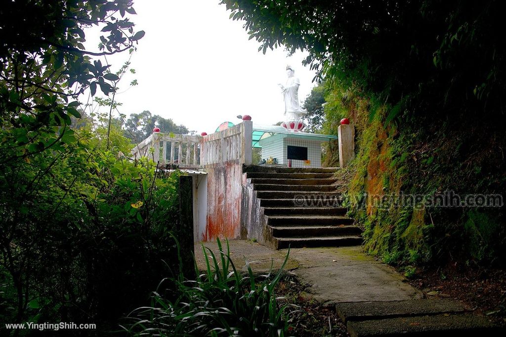 YTS_YTS_20200111_新北土城南天母山／崙子山甘露寺步道／甘露公園New Taipei Tucheng058_539A3880.jpg