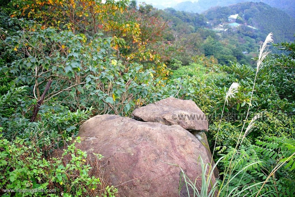 YTS_YTS_20200111_新北土城南天母山／崙子山甘露寺步道／甘露公園New Taipei Tucheng073_539A3934.jpg