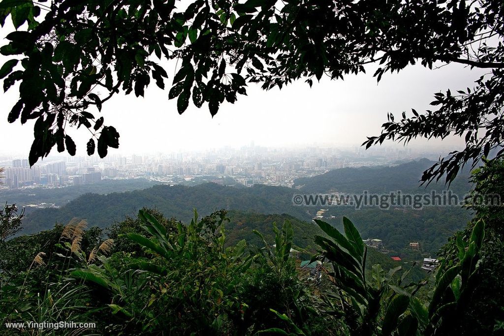 YTS_YTS_20200111_新北土城南天母山／崙子山甘露寺步道／甘露公園New Taipei Tucheng085_539A3815.jpg