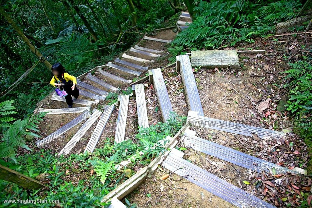 YTS_YTS_20200111_新北土城南天母山／崙子山甘露寺步道／甘露公園New Taipei Tucheng083_539A3812.jpg