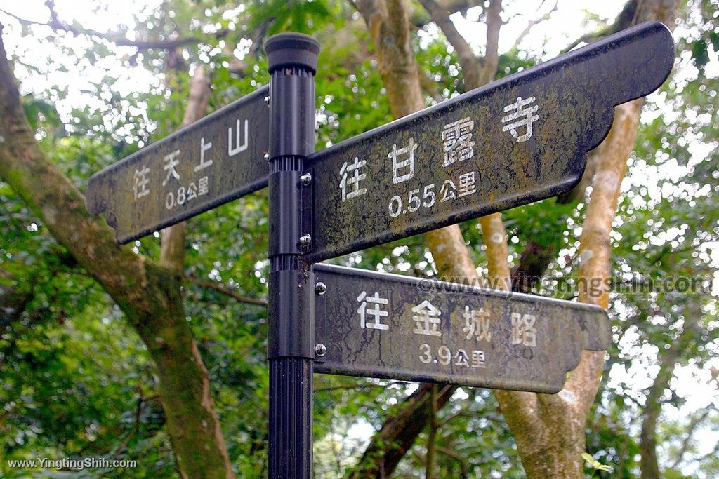 YTS_YTS_20200111_新北土城南天母山／崙子山甘露寺步道／甘露公園New Taipei Tucheng103_539A3863.jpg