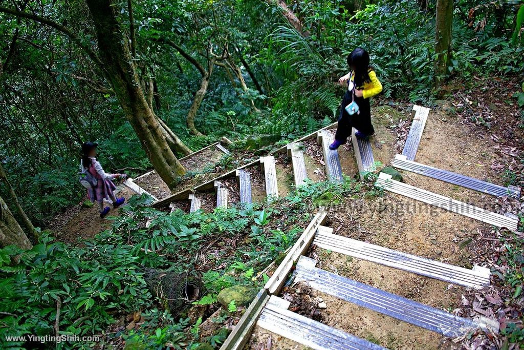 YTS_YTS_20200111_新北土城南天母山／崙子山甘露寺步道／甘露公園New Taipei Tucheng104_539A3868.jpg