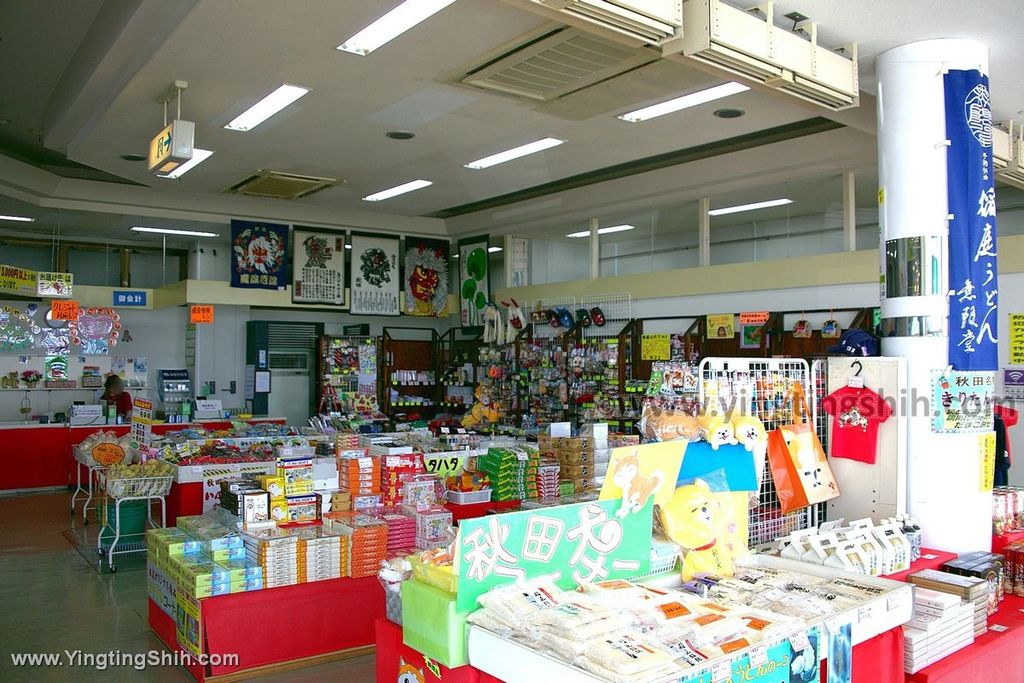 YTS_YTS_20190716_日本東北秋田男鹿世界三景／寒風山回転展望台／誓の御柱Japan Tohoku Akita024_539A4666.jpg