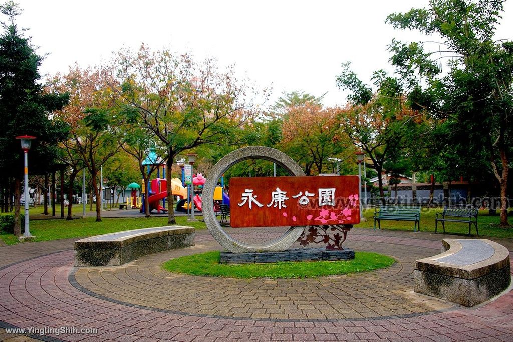 YTS_YTS_20200113_桃園市區蜜蜂兒童遊戲場／永康公園Taoyuan City002_539A5446.jpg