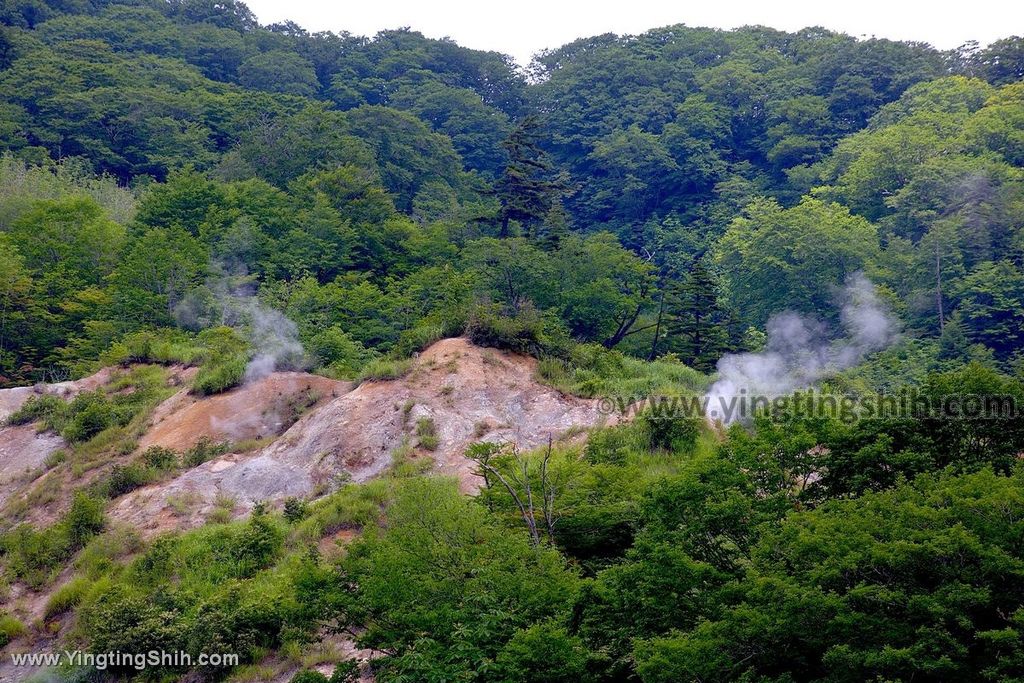 YTS_YTS_20190725_日本東北岩手雫石滝ノ上温泉／鳥越の滝／葛根田渓谷Japan Tohoku Iwate037_539A2573.jpg