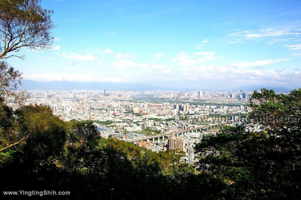 YTS_YTS_20191228_新北樹林青龍嶺登山步道／青德宮／青峰山莊慈來宮觀景台New Taipei Shulin031_539A9428.jpg